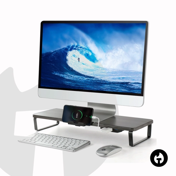 Monitor Riser