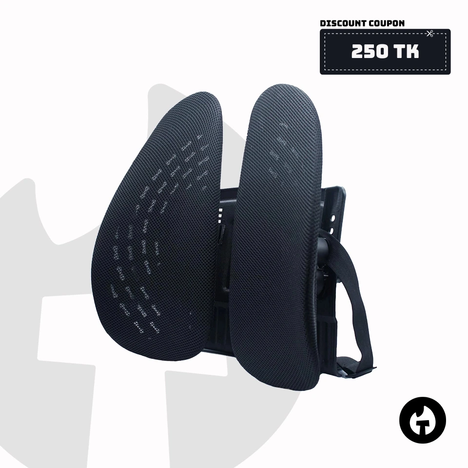 Ergonomic Back Support